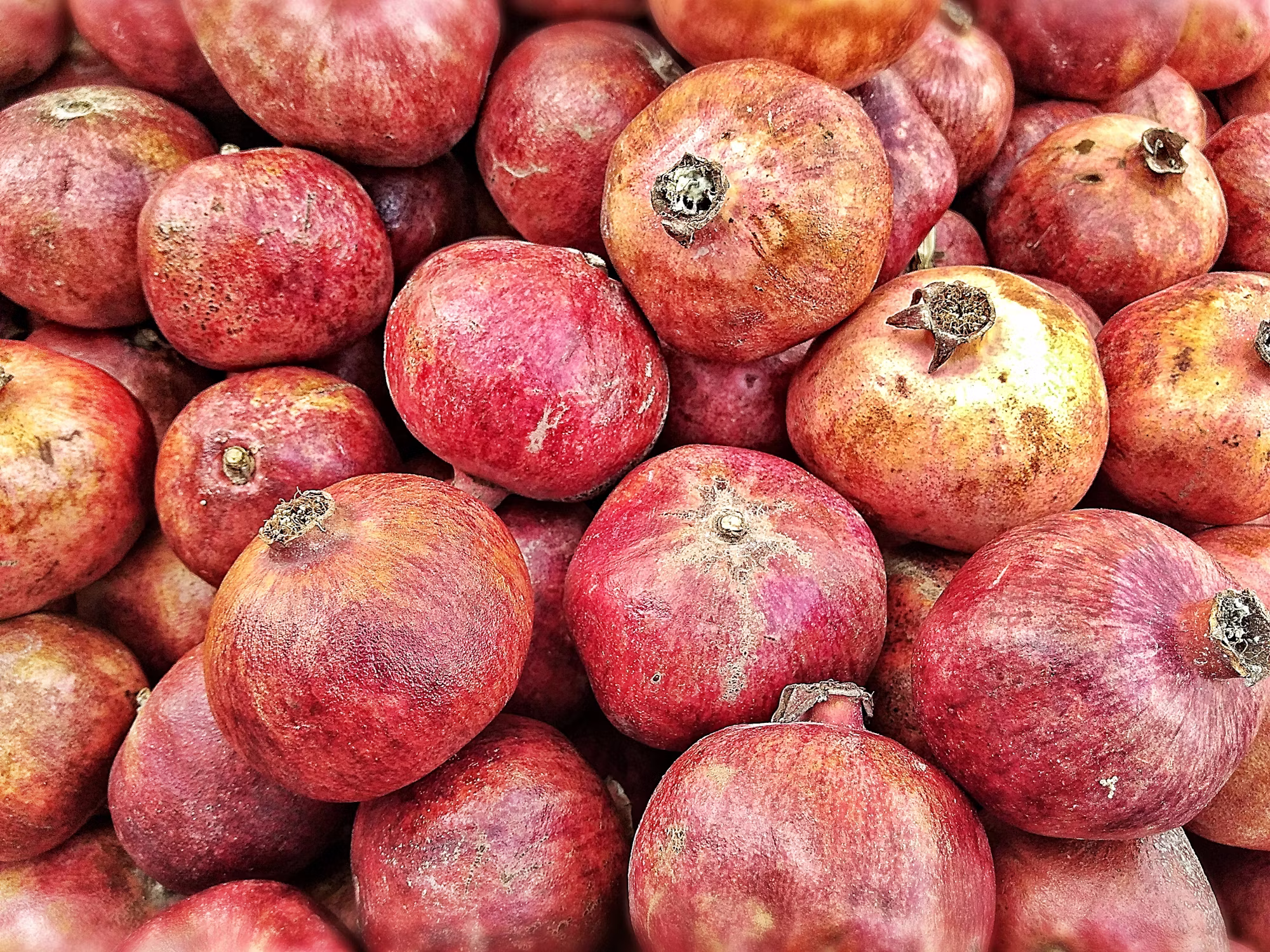 Exploring the Global Cuisine: A Culinary Journey